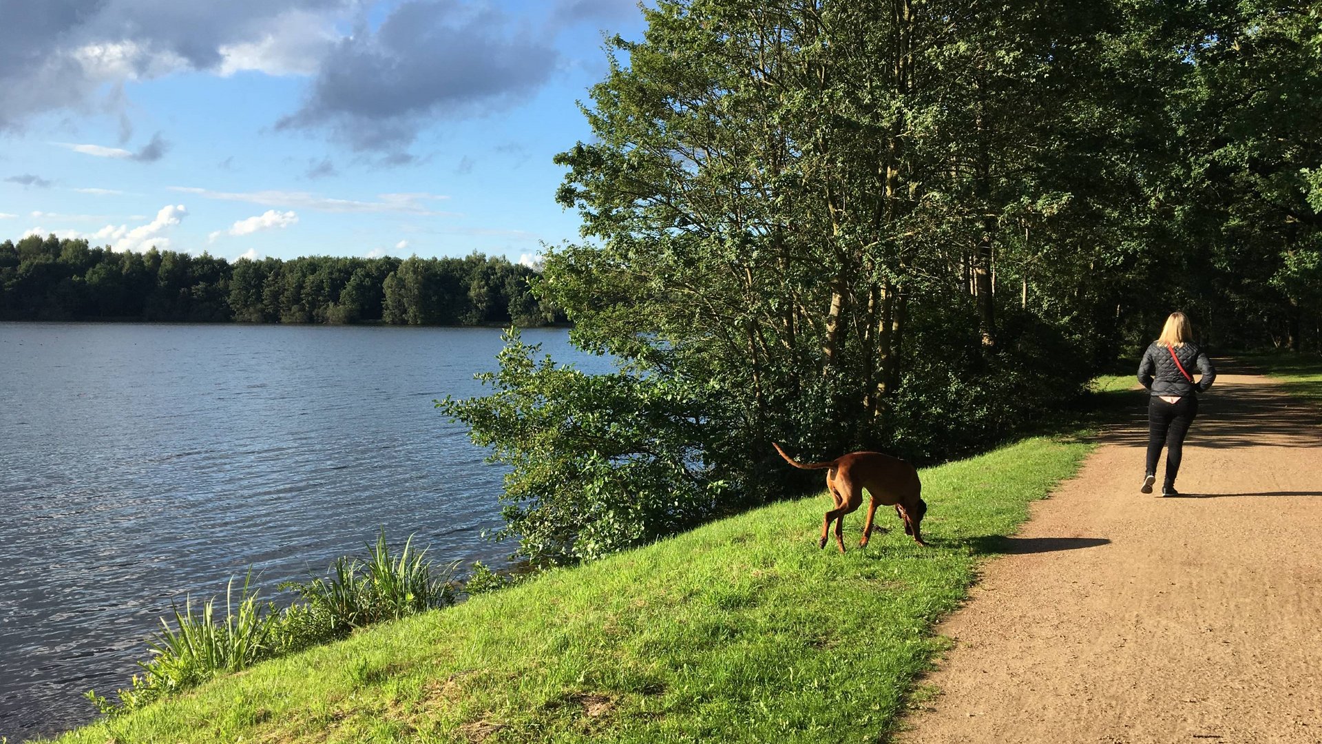 Urlaub am See in NRW mit Hund: hundefreundliches Hotel Seeblick Frau geht mit Hund auf sonnigem Weg am Seeufer entlang