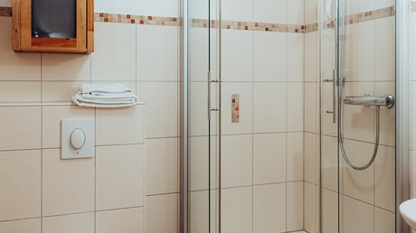 Appartementhotel Seeblick: Bildergalerie Badezimmer mit Dusche, Toilette und Wandregal aus Holz