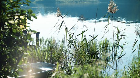 Appartementhotel Seeblick: Bildergalerie Dickicht am Seeufer mit altem Boot und ruhigem Wasser im Hintergrund