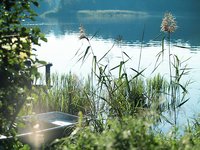 Seeblick: holidays by the lake in North Rhine-Westphalia Seeblick: holidays by the lake in North Rhine-Westphalia