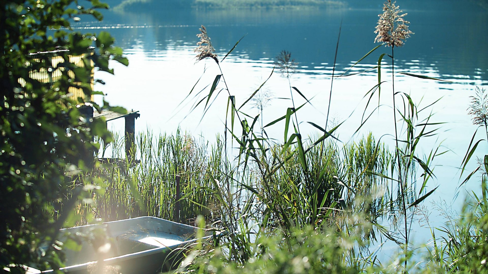 Seeblick Gronau: Urlaub inmitten der Natur