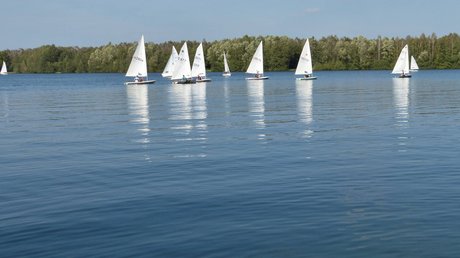 Appartementhotel Seeblick: Bildergalerie Segelboote auf ruhigem See vor bewaldetem Ufer bei klarem Himmel