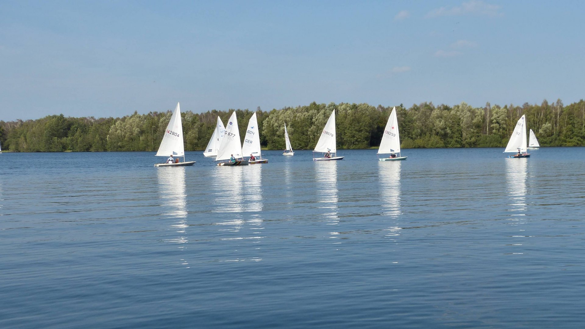 Seeblick: holidays by the lake in North Rhine-Westphalia Sailboats on calm lake with tree-lined shore and clear sky