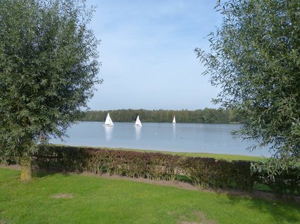 Hotel Seeblick in Gronau Drei Segelboote auf einem ruhigen See mit grünem Ufer und Bäumen