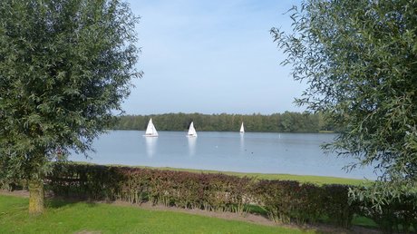 Appartementhotel Seeblick: Bildergalerie Drei Segelboote auf einem ruhigen See mit grünem Ufer und Bäumen