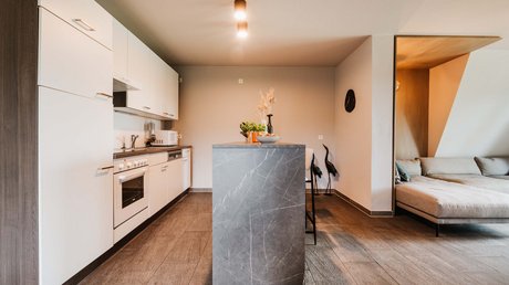 Appartementhotel Seeblick: Bildergalerie Moderne Küche mit Kochinsel, weißen Schränken und angrenzendem Wohnzimmer