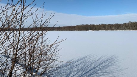Appartementhotel Seeblick: Bildergalerie Schneebedeckter See im Winter mit kahlem Strauch im Vordergrund