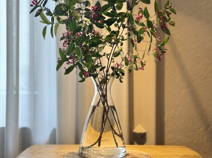 Aparthotel am See in Gronau Zweig mit kleinen roten Blüten in Glasvase auf Holztisch
