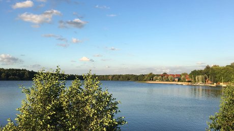 Appartementhotel Seeblick: Bildergalerie See mit Büschen im Vordergrund und Häusern am Ufer bei sonnigem Himmel