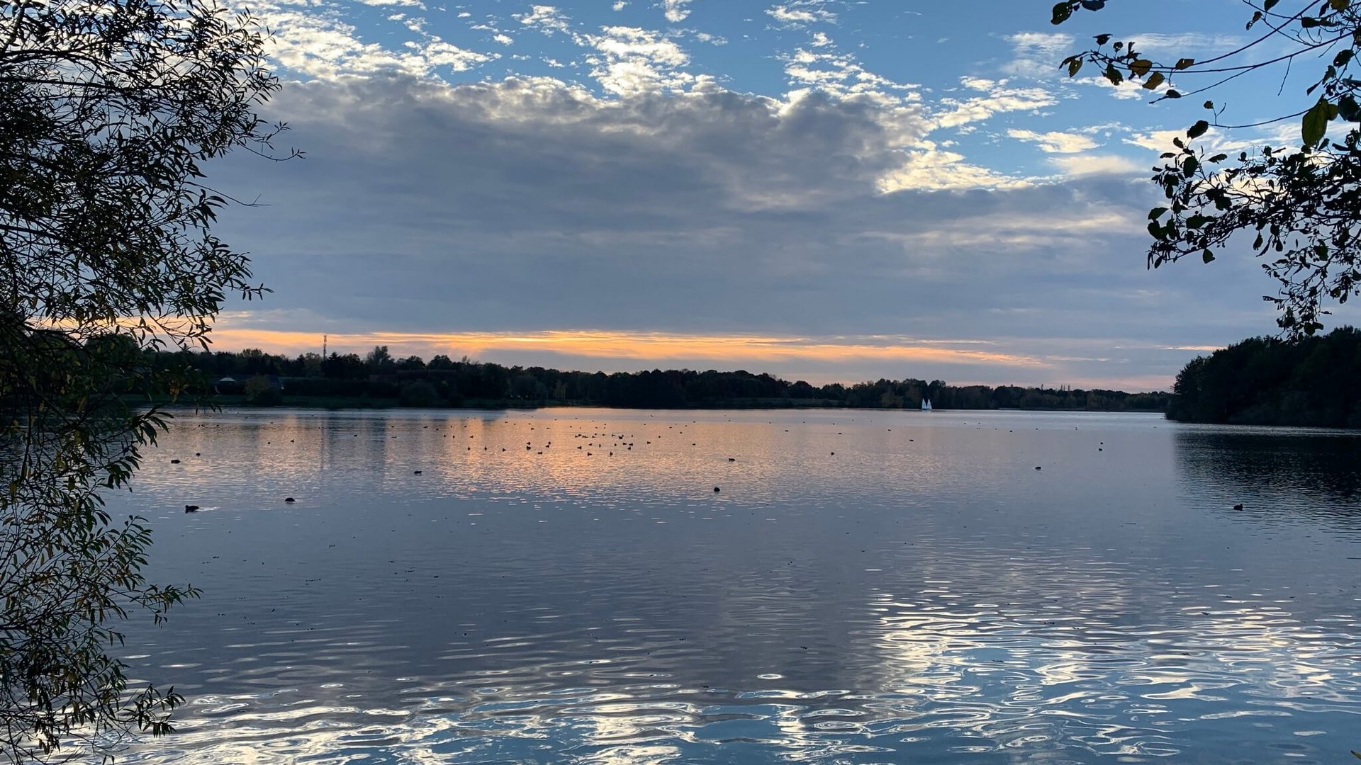 Seeblick: holidays by the lake in North Rhine-Westphalia Lake with reflective sky and two sailboats on horizon at sunset