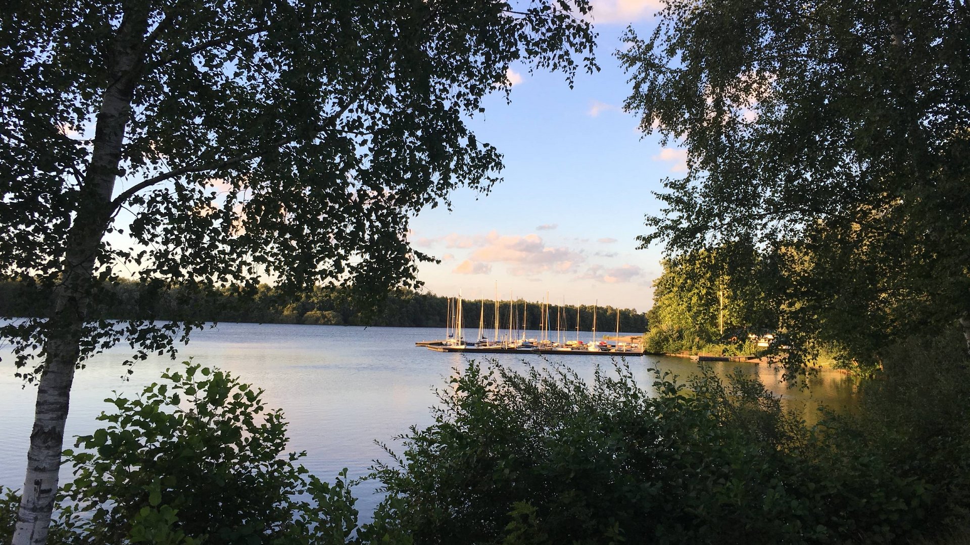 Seeblick: holidays by the lake in North Rhine-Westphalia Sailboats docked at pier on calm lake with trees and evening light