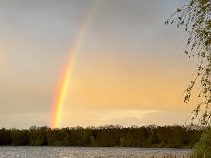 Hotel Seeblick in Gronau Regenbogen über See mit Wald und Weg bei Sonnenuntergang