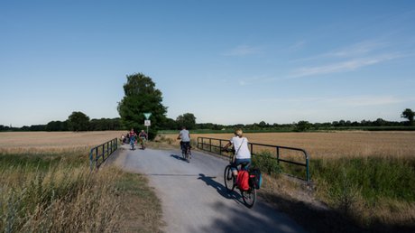 Appartementhotel Seeblick: Bildergalerie Fietser op een landweg tussen de velden onder een blauwe hemel