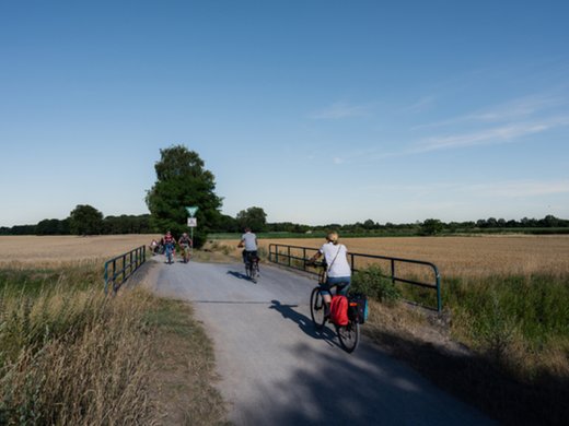 Ihr perfektes Fahrradhotel im Münsterland Fahrradfahrer auf Landstraße zwischen Feldern unter blauem Himmel