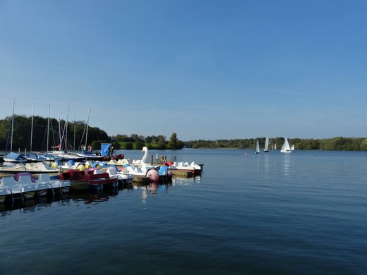 Seeblick: Urlaub am See in NRW Tretboote am See mit Segelbooten und bewaldetem Ufer im Hintergrund