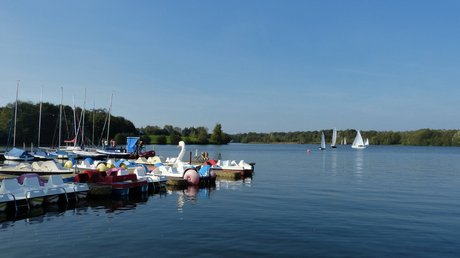 Appartementhotel Seeblick: Bildergalerie Tretboote am See mit Segelbooten und bewaldetem Ufer im Hintergrund