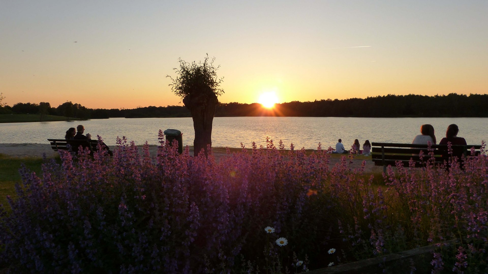 Hotel Seeblick in Gronau Sonnenuntergang am See mit Blumen und Menschen auf Bänken
