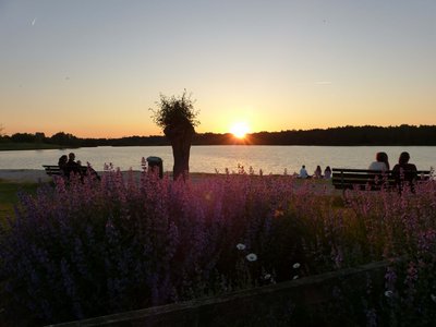 Seeblick: Ferienwohnungen Gronau Sonnenuntergang am See mit Blumen und Menschen auf Bänken