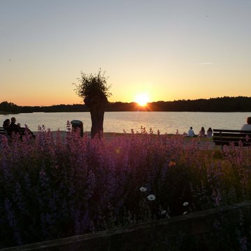 Seeblick: Ferienwohnungen Gronau Zonsondergang aan het meer met bloemen en mensen op bankjes
