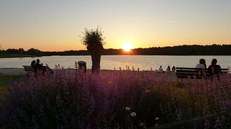 Appartementhotel Seeblick: Bildergalerie Sonnenuntergang am See mit Blumen und Menschen auf Bänken