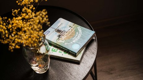 Appartementhotel Seeblick: Bildergalerie Trockenblumen in Vase auf dunkelbraunem Tisch mit zwei Reiseführern