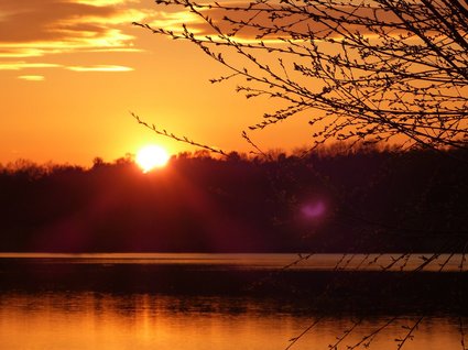 Hotel Seeblick in Gronau Sonnenuntergang über einem See mit Bäumen im Vordergrund