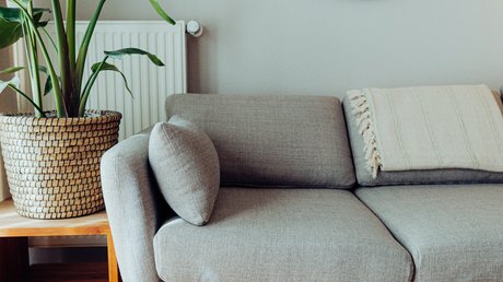 Appartementhotel Seeblick: Bildergalerie Graues Sofa neben Pflanzenkorb und rundem Spiegel in modern eingerichteter Wohnung