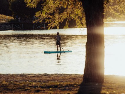 Hotel Seeblick in Gronau Person paddleboardt auf ruhigem See bei Sonnenuntergang