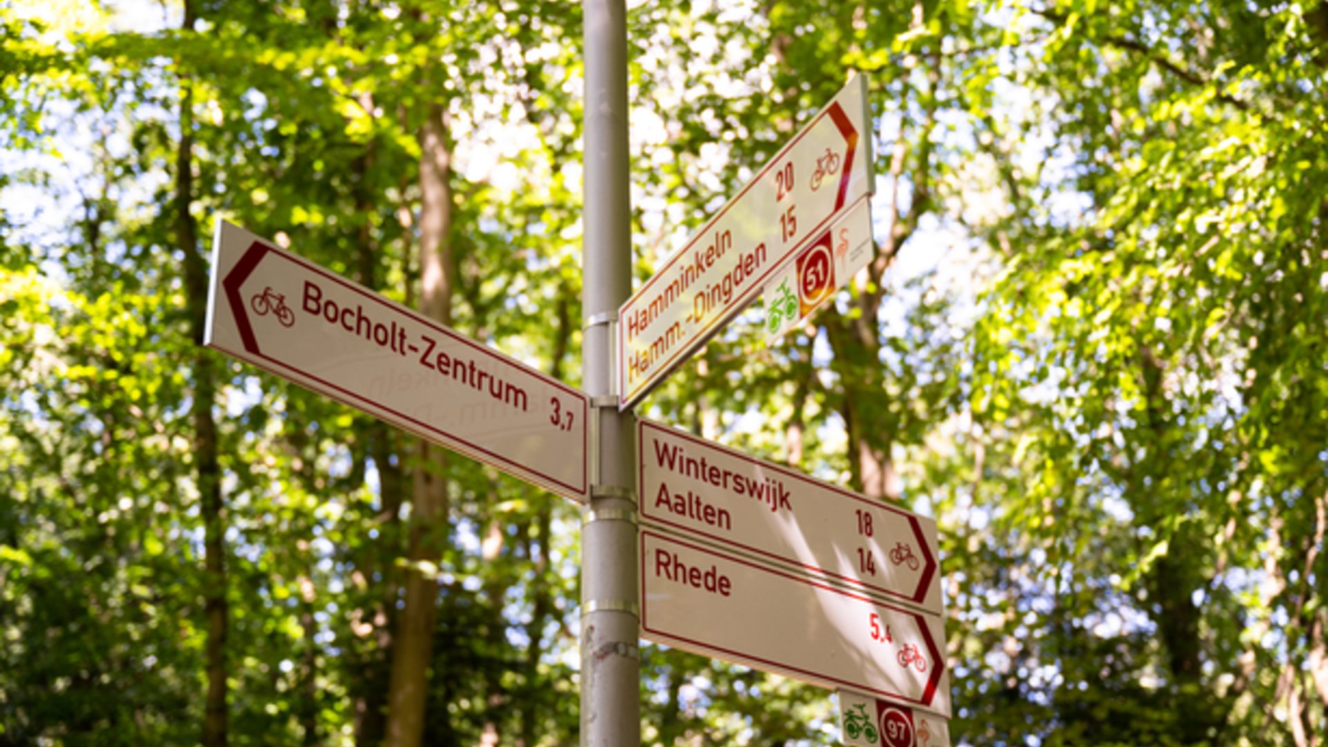 Ihr perfektes Fahrradhotel im Münsterland Fahrradwegweiser mit Zielen und Entfernungen im Wald