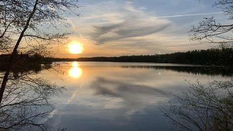 Appartementhotel Seeblick: Bildergalerie Sonnenuntergang über ruhigem See mit Spiegelung und Bäumen im Vordergrund