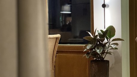 Appartementhotel Seeblick: Bildergalerie Pflanze in großem dunklem Topf neben beleuchteter Wand und Fenster im Innenraum