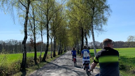 Appartementhotel Seeblick: Bildergalerie Menschen fahren Fahrräder auf einem von Bäumen gesäumten Weg an einem sonnigen Tag