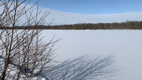 Appartementhotel Seeblick: Bildergalerie Besneeuwd bevroren meer met kale takken en bos aan de horizon
