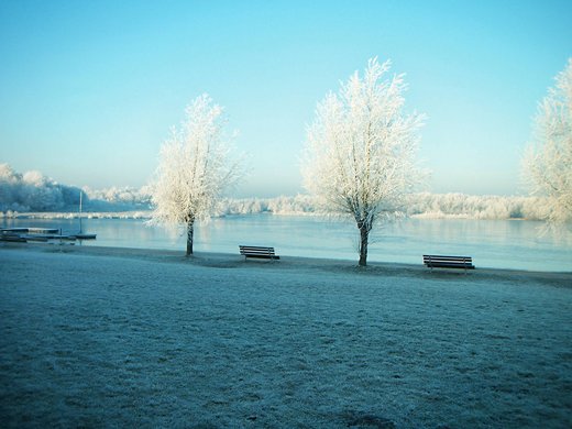Erholung, Abenteuer und Badespaß für die ganze Familie – direkt am Dreiländersee Verschneiter Park mit Bänken und frostbedeckten Bäumen an einem zugefrorenen See