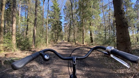 Appartementhotel Seeblick: Bildergalerie Uitzicht over een fietsstuur op een zonnig bospad