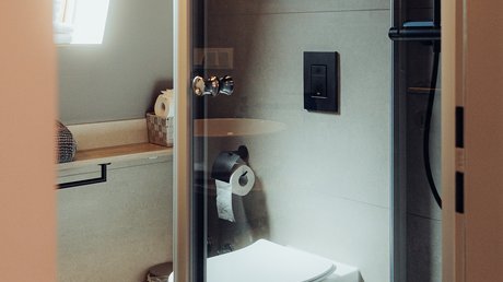Appartementhotel Seeblick: Bildergalerie Moderne badkamer met toilet achter een glazen deur en dakraam